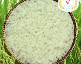 Gạo 5451